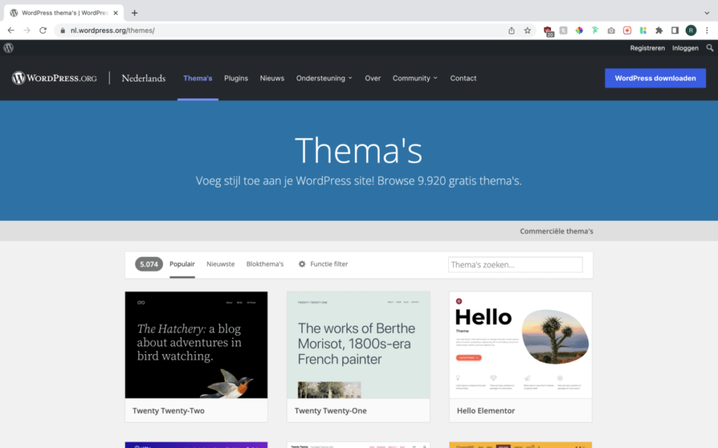Wat doet een webdeveloper? 11 dingen om rekening mee te houden 5 Wat doet een webdeveloper - wordpress thema